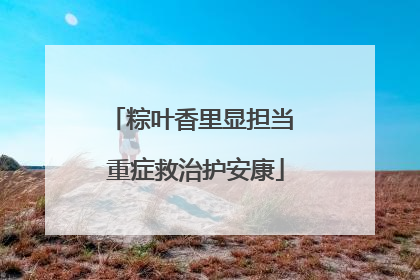 粽叶香里显担当 重症救治护安康